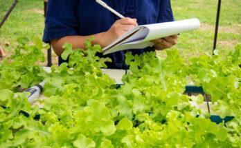 Data Acquisition Membantu Analisis Masalah Kebun Hidroponik Petani